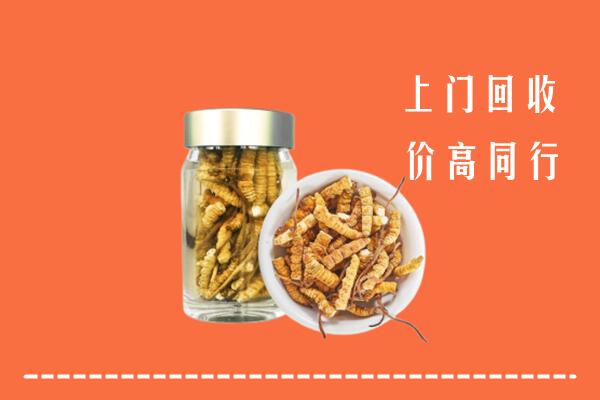 重庆巫溪回收冬虫夏草